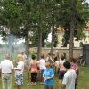 Bild 1 477